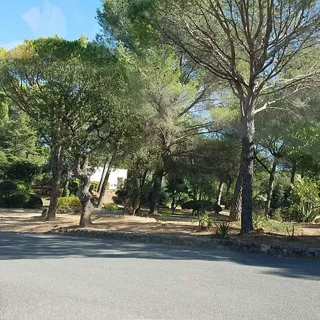Les Tamaris Tatil Evi *
